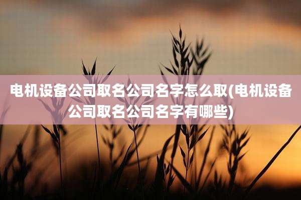 电机设备公司取名公司名字怎么取(电机设备公司取名公司名字有哪些)