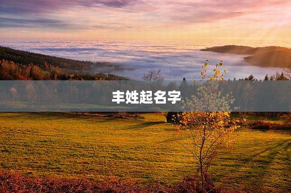 丰姓起名字