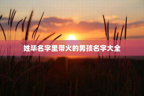 姓毕名字里带火的男孩名字大全