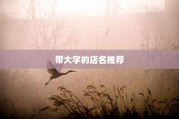 带大字的店名推荐