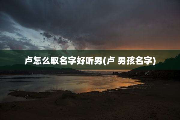 卢怎么取名字好听男(卢 男孩名字)