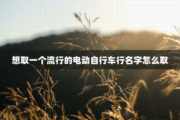 想取一个流行的电动自行车行名字怎么取
