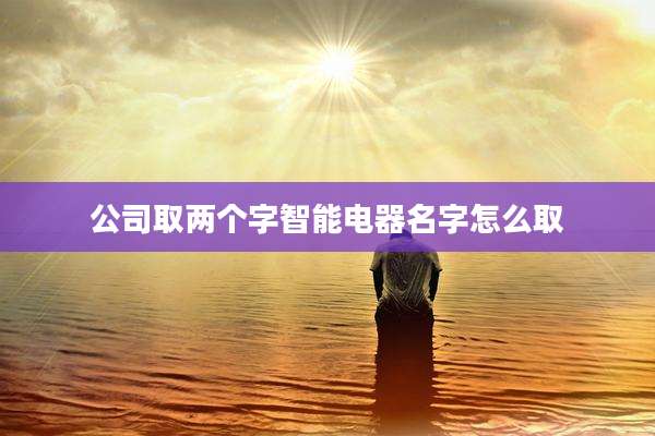 公司取两个字智能电器名字怎么取