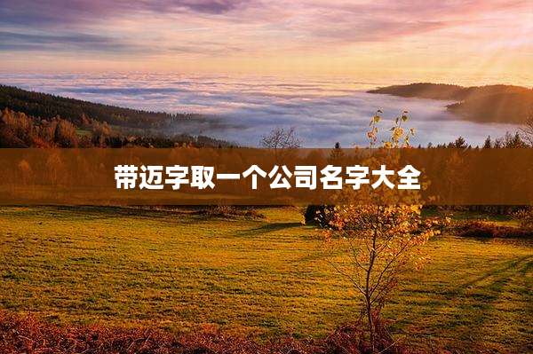 带迈字取一个公司名字大全