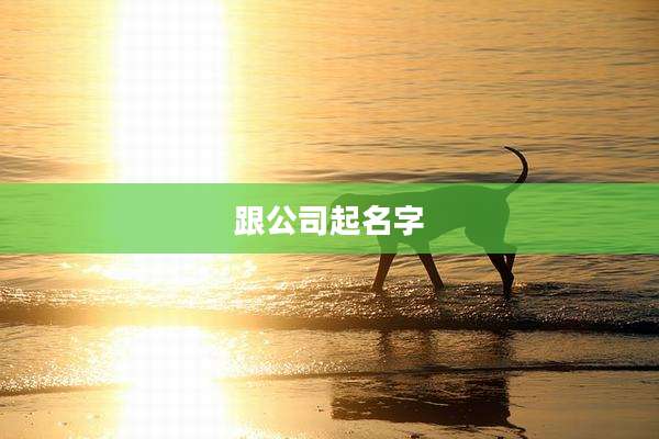 跟公司起名字