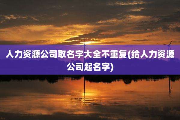人力资源公司取名字大全不重复(给人力资源公司起名字)