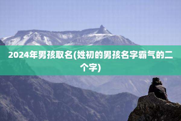 2024年男孩取名(姓初的男孩名字霸气的二个字)