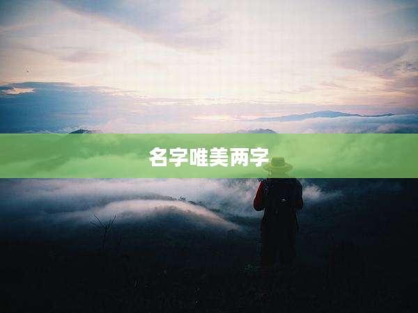 名字唯美两字