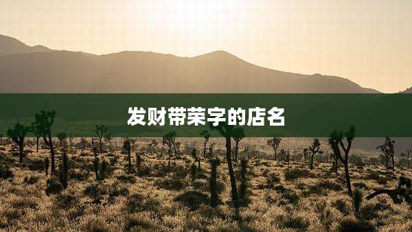 发财带荣字的店名