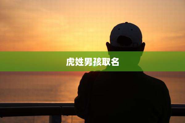 虎姓男孩取名