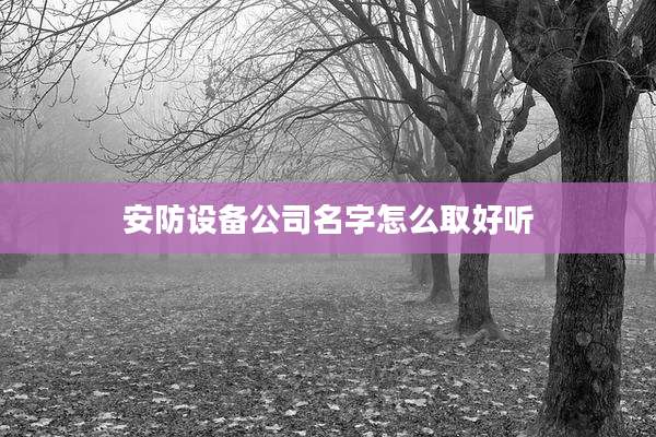 安防设备公司名字怎么取好听