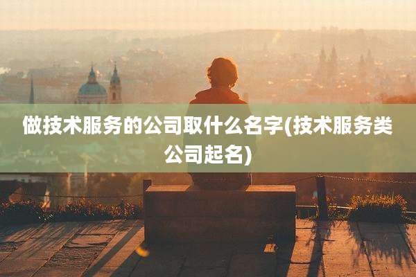 做技术服务的公司取什么名字(技术服务类公司起名)