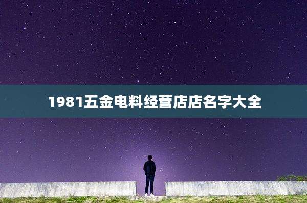 1981五金电料经营店店名字大全