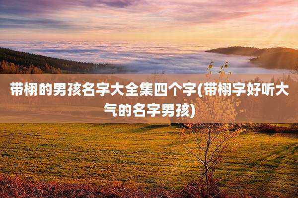 带栩的男孩名字大全集四个字(带栩字好听大气的名字男孩)