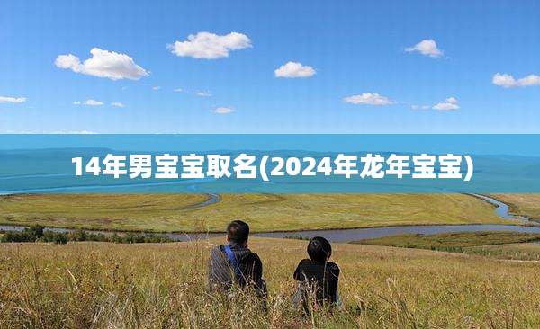 14年男宝宝取名(2024年龙年宝宝)
