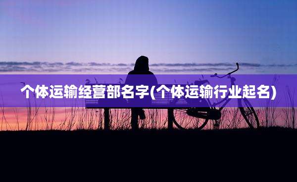 个体运输经营部名字(个体运输行业起名)