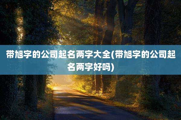 带旭字的公司起名两字大全(带旭字的公司起名两字好吗)