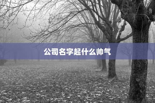公司名字起什么帅气
