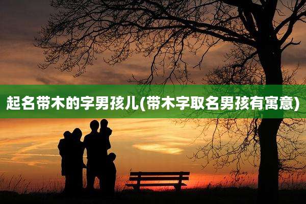 起名带木的字男孩儿(带木字取名男孩有寓意)