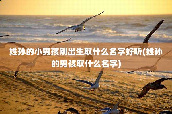姓孙的小男孩刚出生取什么名字好听(姓孙的男孩取什么名字)