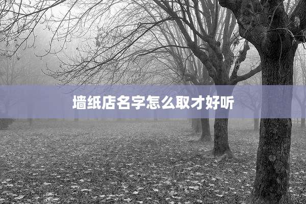 墙纸店名字怎么取才好听