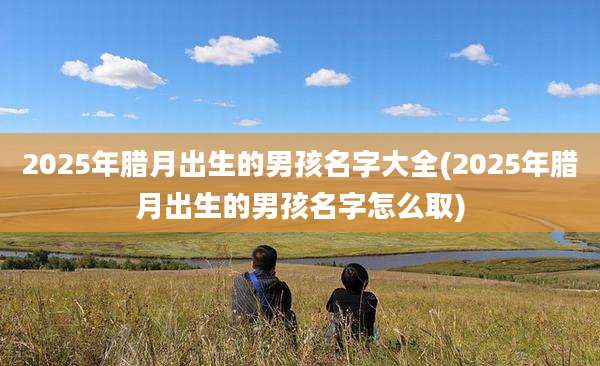 2025年腊月出生的男孩名字大全(2025年腊月出生的男孩名字怎么取)