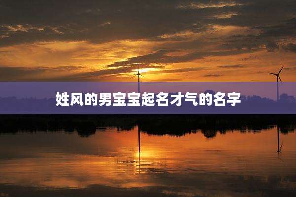 姓风的男宝宝起名才气的名字