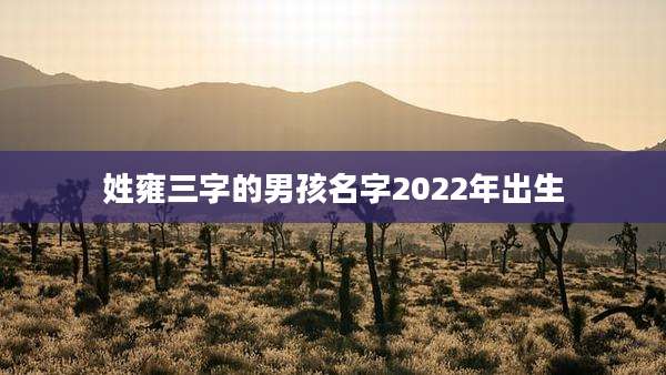 姓雍三字的男孩名字2022年出生