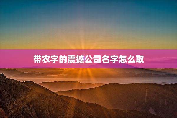 带农字的震撼公司名字怎么取