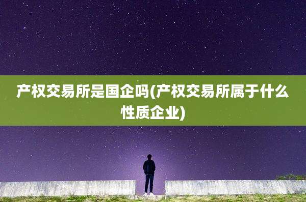 产权交易所是国企吗(产权交易所属于什么性质企业)