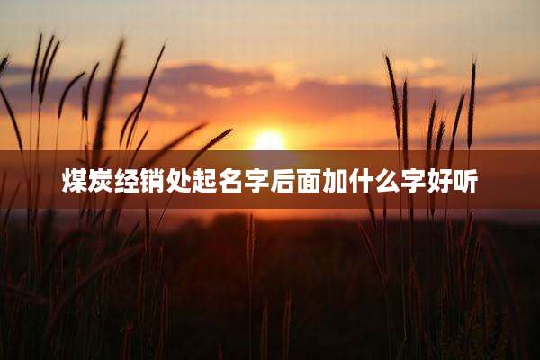 煤炭经销处起名字后面加什么字好听