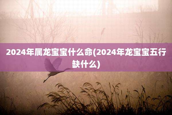 2024年属龙宝宝什么命(2024年龙宝宝五行缺什么)