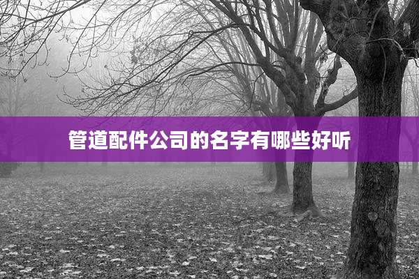 管道配件公司的名字有哪些好听