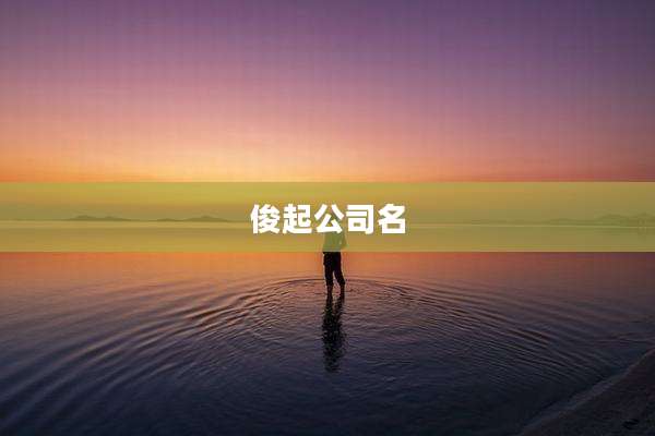俊起公司名