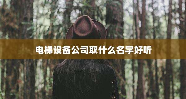 电梯设备公司取什么名字好听