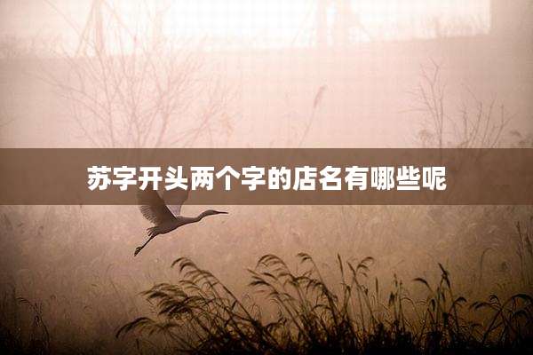 苏字开头两个字的店名有哪些呢
