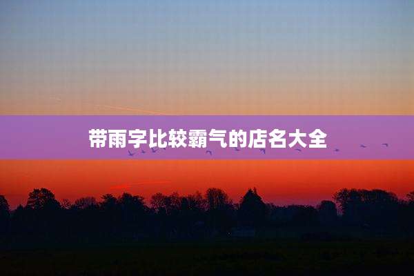 带雨字比较霸气的店名大全