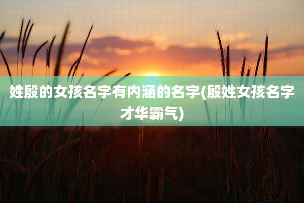 姓殷的女孩名字有内涵的名字(殷姓女孩名字才华霸气)