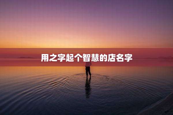 用之字起个智慧的店名字