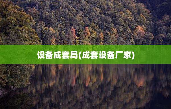 设备成套局(成套设备厂家)