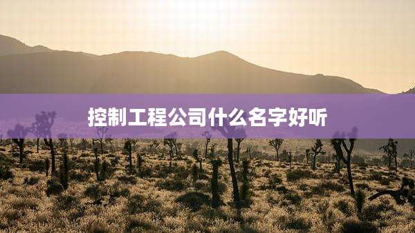 控制工程公司什么名字好听