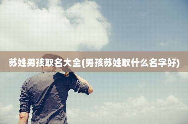 苏姓男孩取名大全(男孩苏姓取什么名字好)