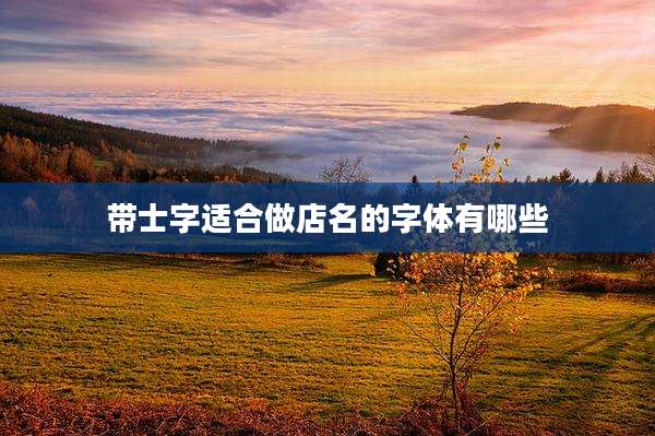 带士字适合做店名的字体有哪些