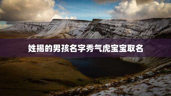 姓揭的男孩名字秀气虎宝宝取名