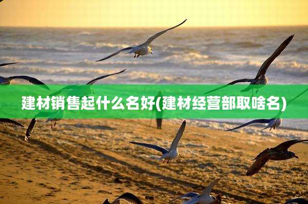 建材销售起什么名好(建材经营部取啥名)