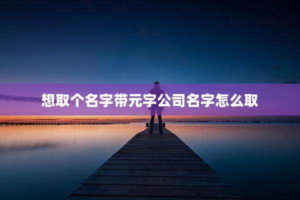 想取个名字带元字公司名字怎么取