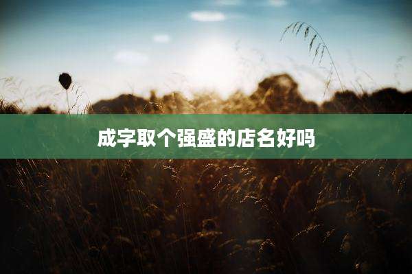 成字取个强盛的店名好吗