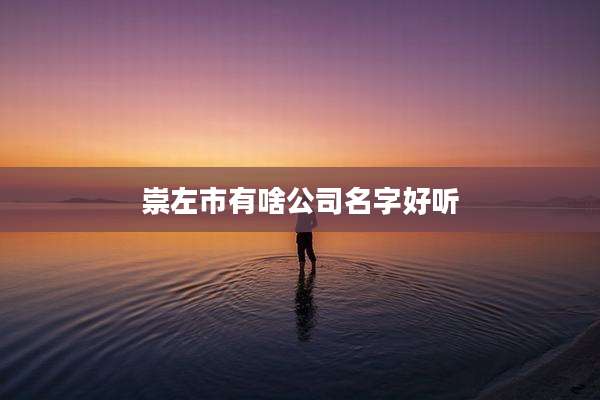 崇左市有啥公司名字好听