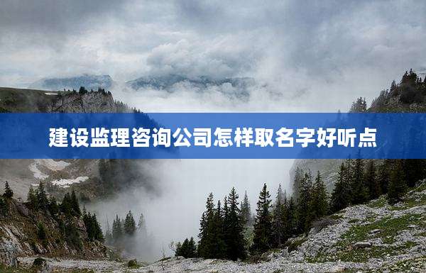 建设监理咨询公司怎样取名字好听点