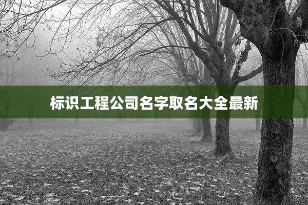 标识工程公司名字取名大全最新